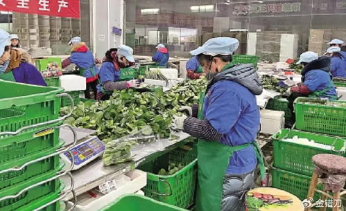 內地平價超市遭香港居民搶購，新鮮蔬菜零售何以成焦點？
