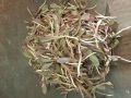 社區(qū)新鮮蔬菜團購指南 便捷地址、聯(lián)系方式和營業(yè)時間一覽