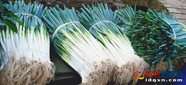 興義烏沙鎮(zhèn) 牛膀子落紅大蔥韭菜豐收，新鮮蔬菜領(lǐng)“鮮”上市
