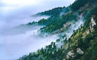 國(guó)內(nèi)8月醉美旅行地 解鎖炎夏的清涼與絕景